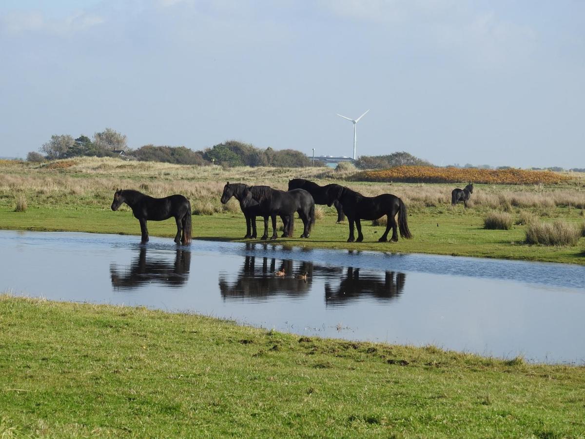 De Hut, In Natuurgebied En Vlakbij Het Strand Callantsoog Luaran gambar